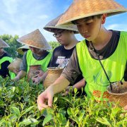 多元教育风劲帆满赓续华章携手绘就文明校园