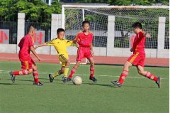 县域教育整体振兴让学生能享受到优质的教育